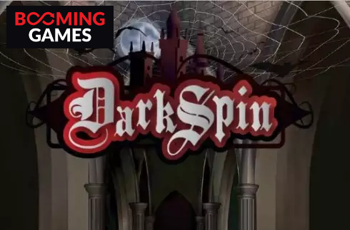 Dark Spin